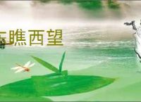 东瞧西望