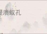 堤溃蚁孔