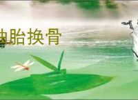 抽胎换骨