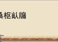 桑枢畒牖