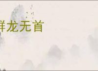 群龙无首