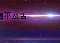 驷不及舌