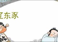 辽东豕