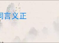 词言义正