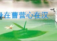 身在曹营心在汉