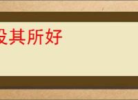 投其所好