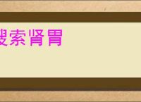 搜索肾胃