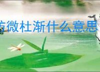 防微杜渐什么意思