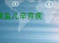 摸鱼儿辛弃疾