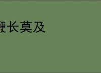 鞭长莫及