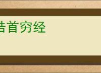 皓首穷经