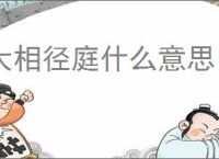 大相径庭什么意思