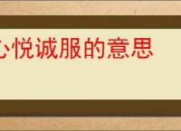 心悦诚服的意思