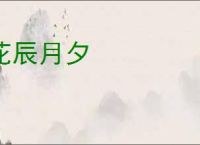 花辰月夕