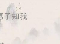 惠子知我