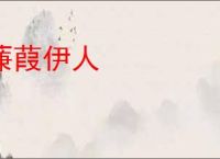 蒹葭伊人