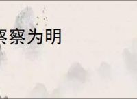 察察为明