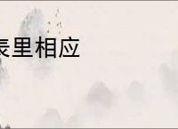 表里相应