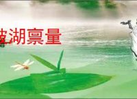 陂湖禀量