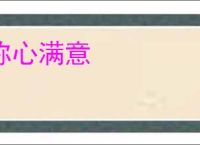 称心满意