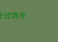 补过饰非