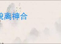 貌离神合