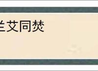 兰艾同焚