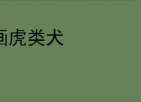 画虎类犬