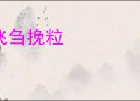 飞刍挽粒