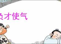 负才使气