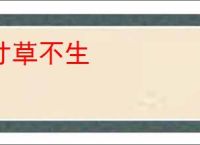 寸草不生