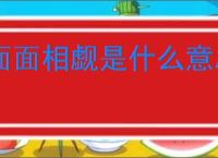 面面相觑是什么意思