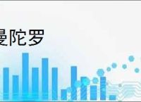 曼陀罗