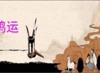鸿运