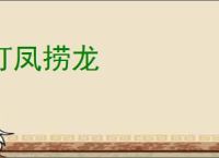 打凤捞龙