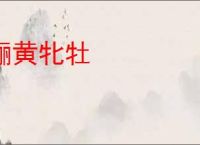 骊黄牝牡