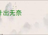 计出无奈