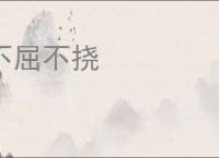 不屈不挠