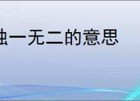 独一无二的意思