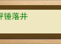 秤锤落井