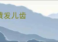 黄发儿齿