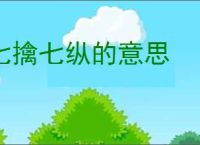 七擒七纵的意思