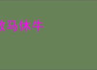 散马休牛