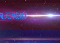 胸无城府