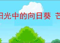 阳光中的向日葵 芒克