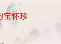 抱宝怀珍