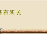 各有所长