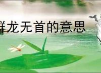群龙无首的意思