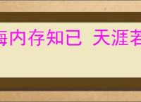 海内存知已 天涯若比邻