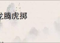 龙腾虎掷
